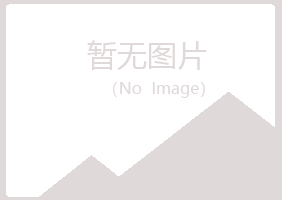 南郑县山柳建设有限公司